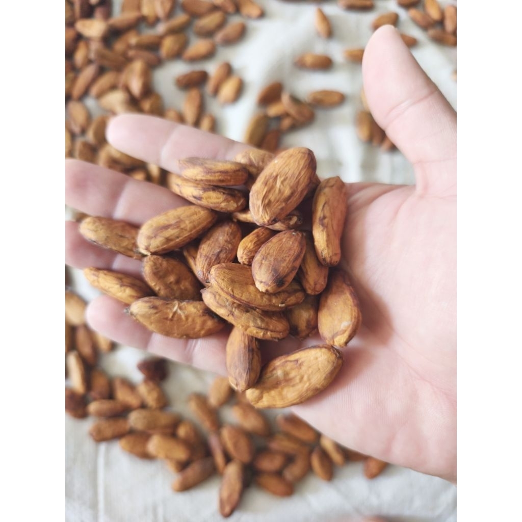 100gr BIJI KAKAO KERING / BIJI COKLAT KERING / BAHAN COKLAT / COKLAT MENTAH / BUAH COKLAT KERING