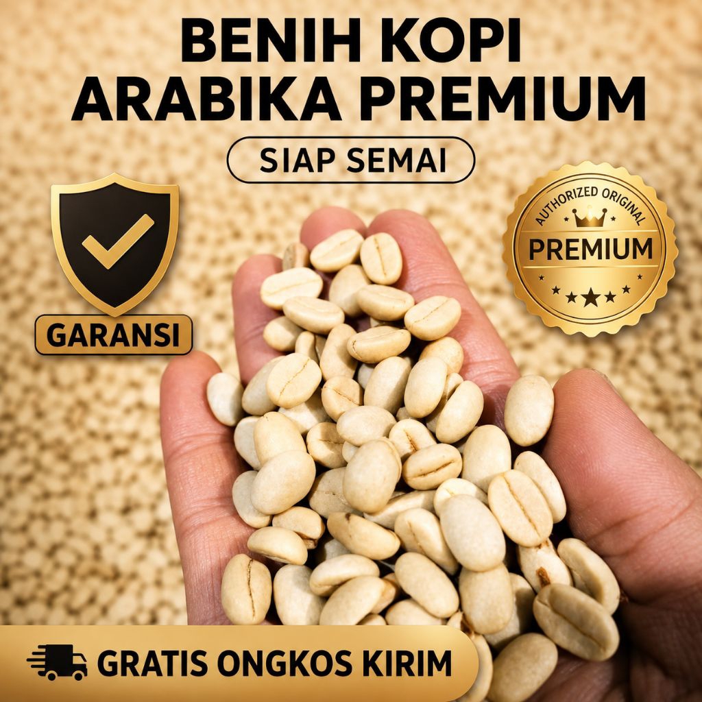Bibit Kopi/Benih Arabika Ateng Super Gayo Berat 1kg