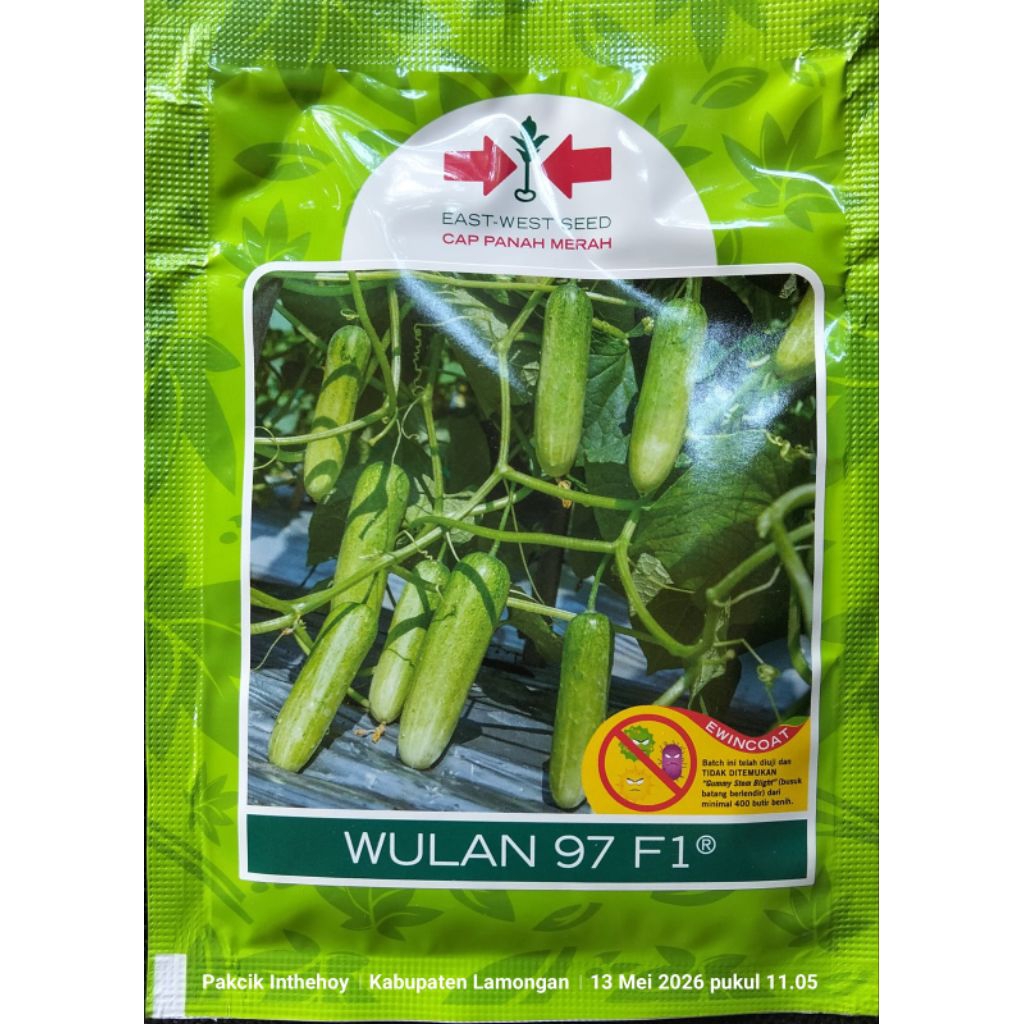 BENIH TIMUN WULAN 97 F1 800 BUTIR