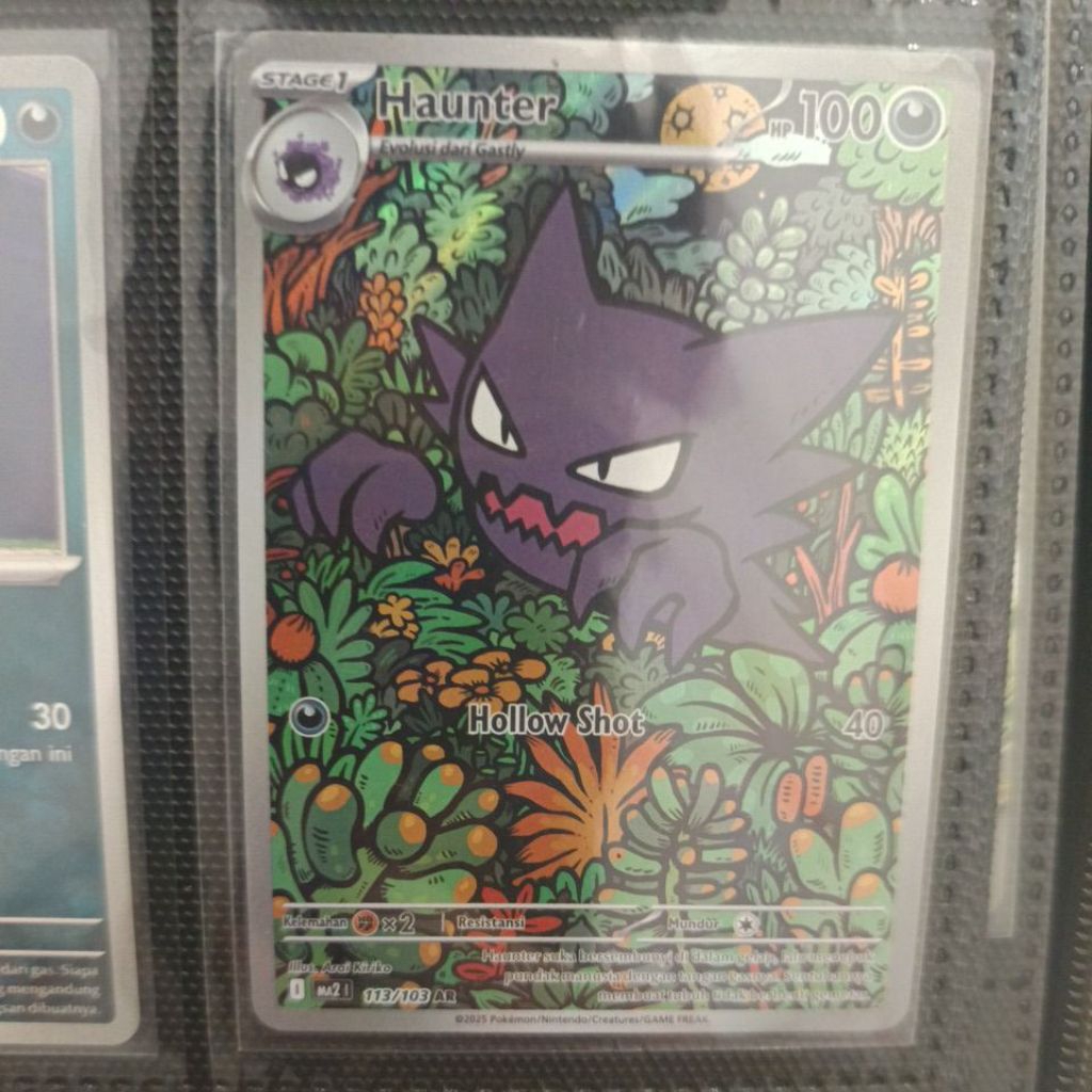 HAUNTER 113/103 AR