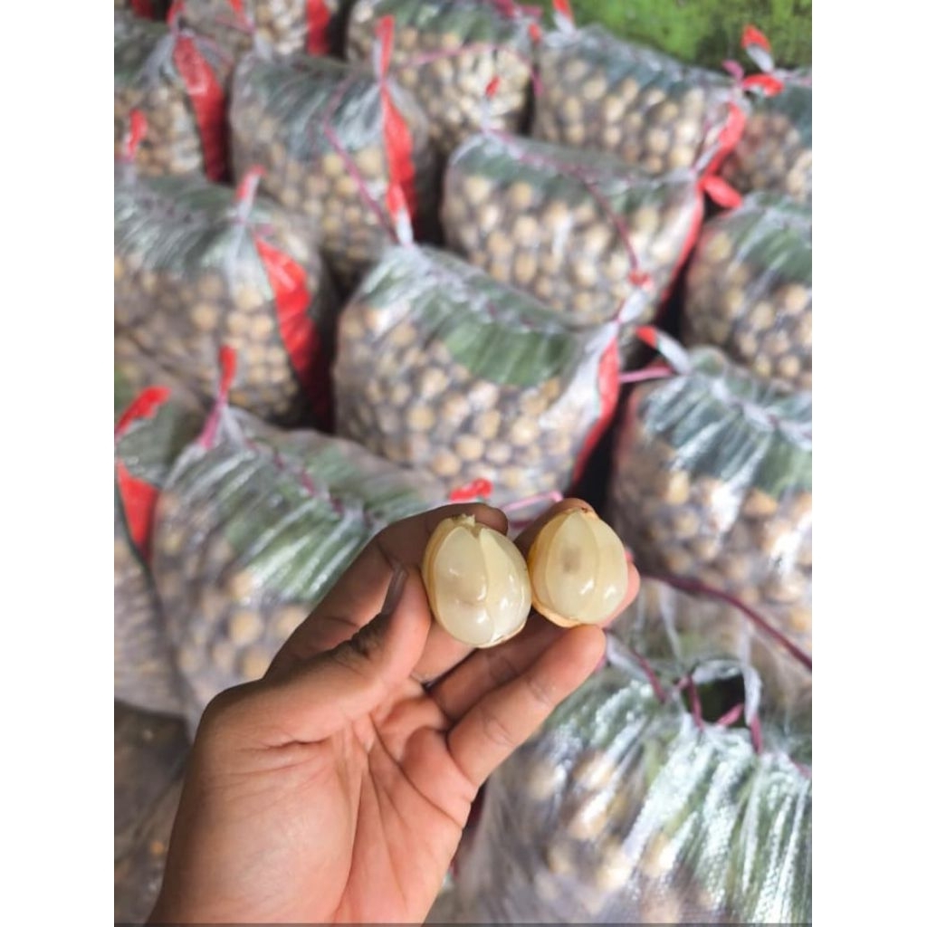 DUKU PALEMBANG MANIS 1KG