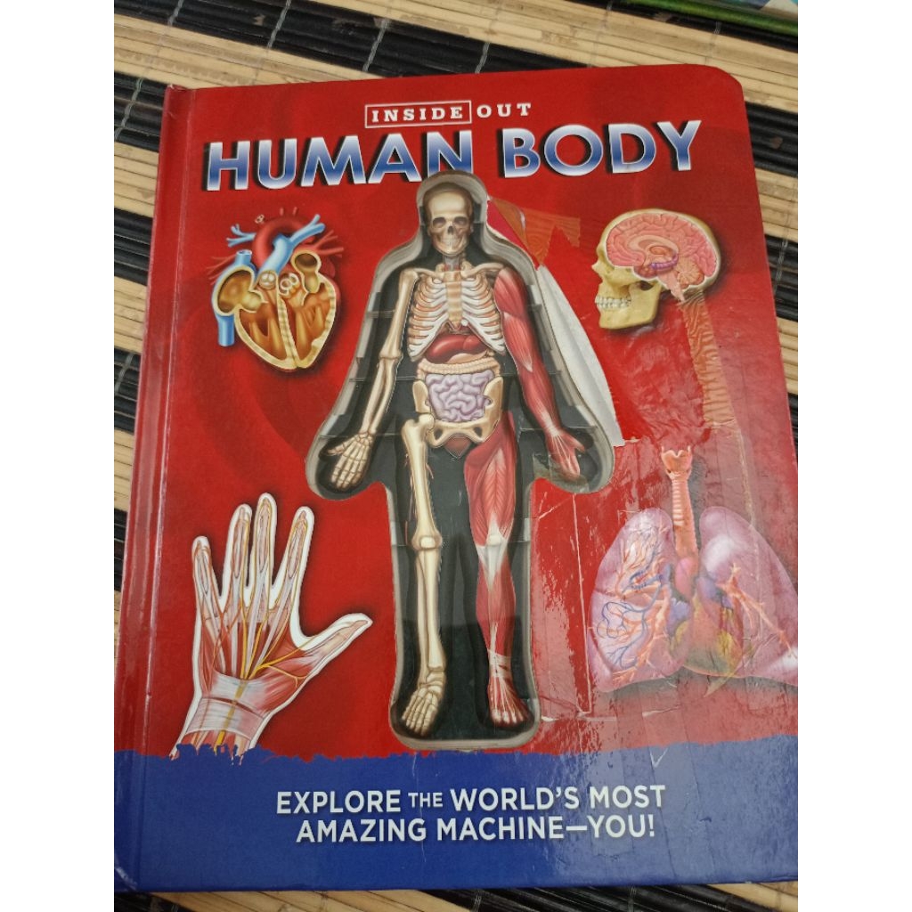 Preloved buku Human Body Inside Out