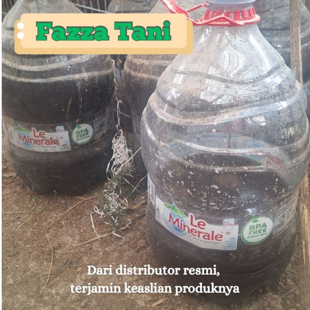 Faza Tani - Urine Kelinci