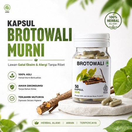 Obat Gatal Kapsul Brotowali Obat Gatal Eksim Alergi Biduran Herbal daun Jamu Isi 50 Kapsul Halal