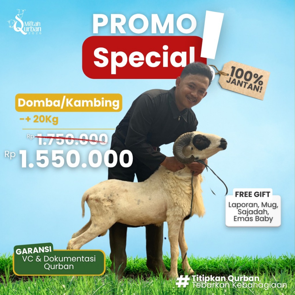 SPECIAL PROMO DOMBA/KAMBING JANTAN RP1.550.000 BOBOT -+20KG