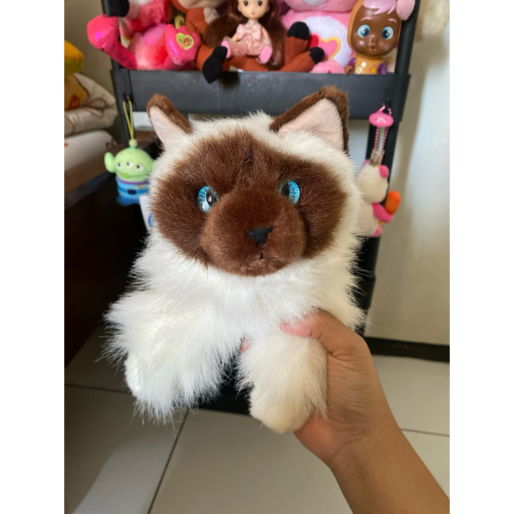 boneka kucing mirip asli boneka kucing himalaya
