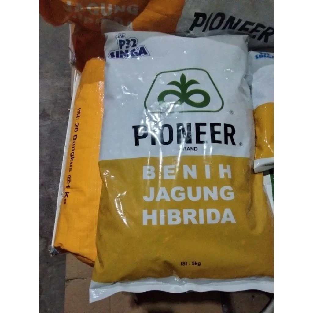 Benih Jagung Hibrida PIONEER P32 SINGA