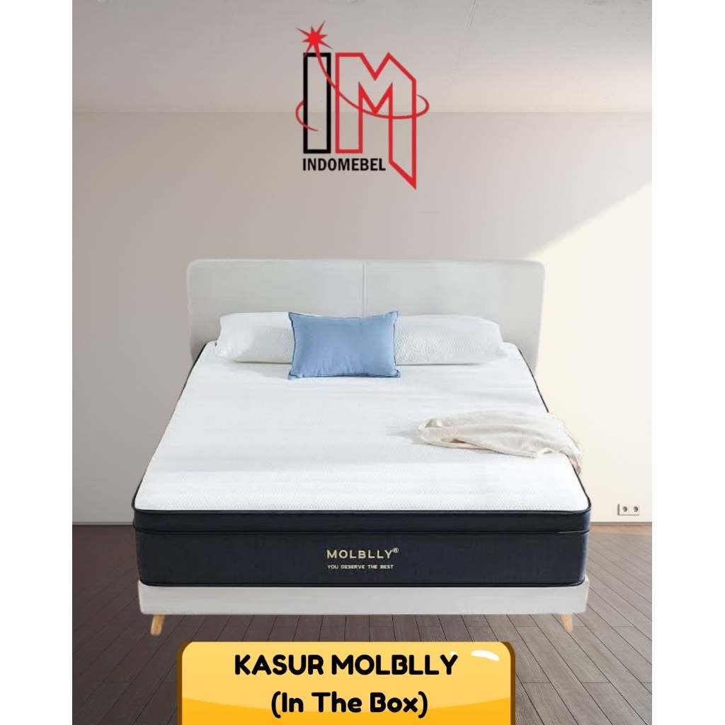 Kasur Molblly In The Box - 160 x 200