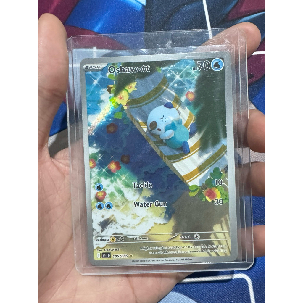 Oshawott AR Eng