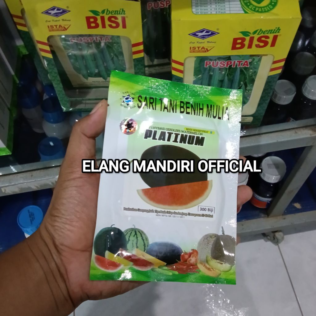 Benih Bibit Semangka Non Biji Platinum F1, Tipe jumbo Lonjong Oval. isi (300 Butir) Kulit Warna Hija