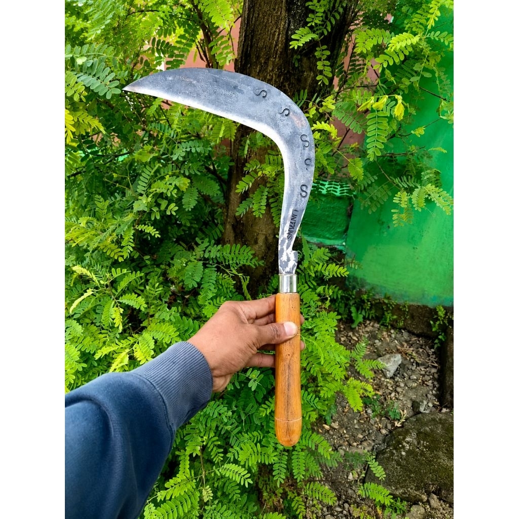sabit baja  kuat alot, sabit baja sepuhan tepat, sabit baja asli, untuk ramban maupun rumput bisa, s
