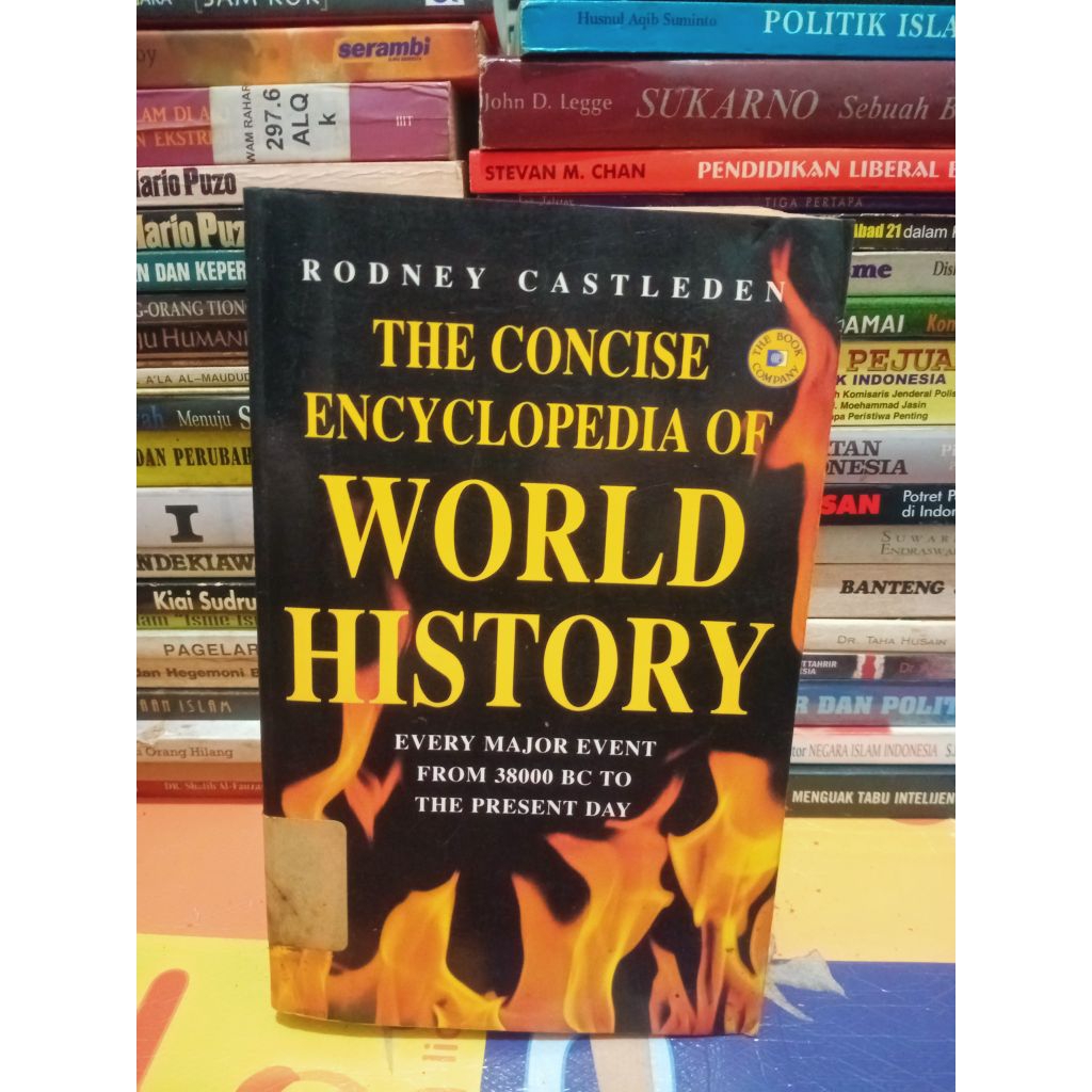 World History - Rodney Castleden