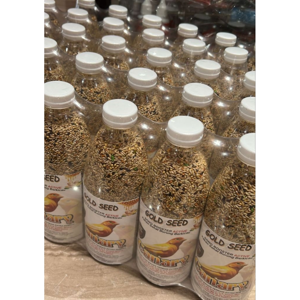 gold seed kenari pakan burung canary gold seed canary botol