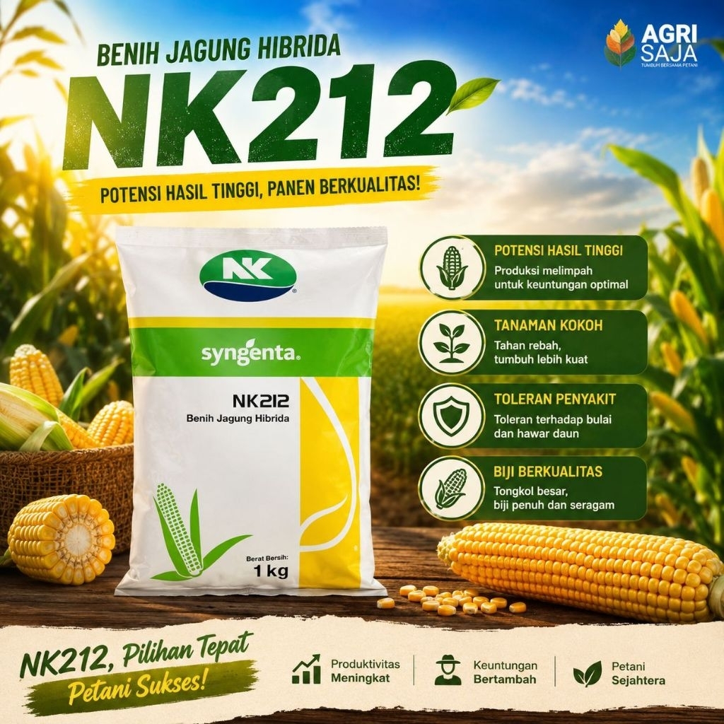 Benih jagung Hibrida NK212 PT.Syngenta NK 212
