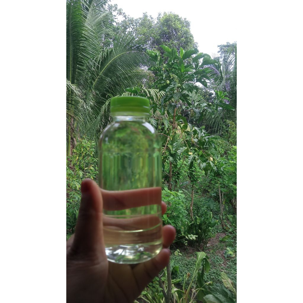 minyak vco original 100%  cold pressed