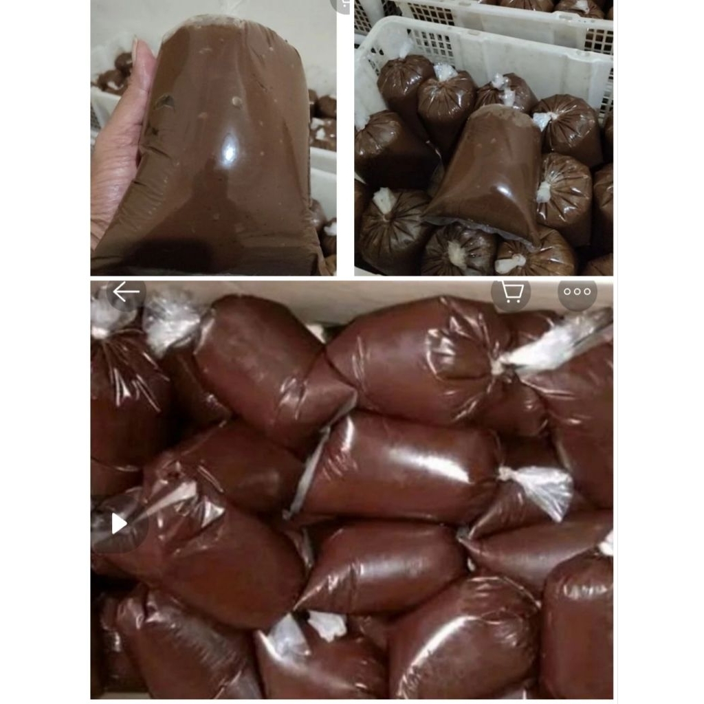 coklat cair/coklat pasta 5 kg