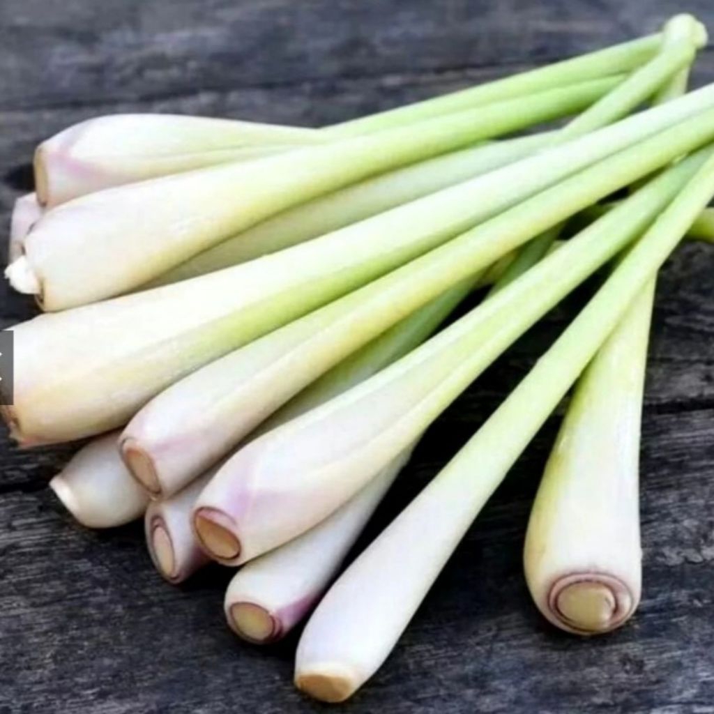Serai segar 1kg fress