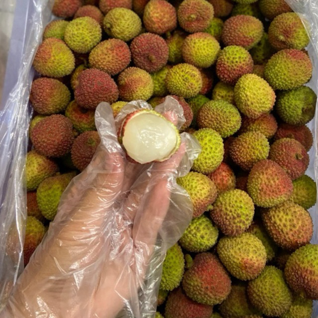 (LANGSUNG KIRIM buah leci madu import fresh leci hijau (500gr) rrc surabaya sidoarjo gosend only