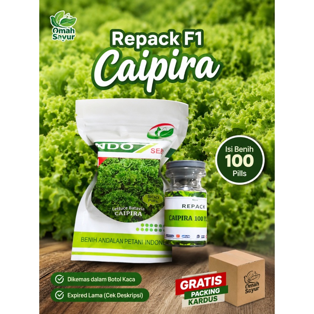 Benih Bibit Selada CAIPIRA Indoseed REPACK 100 PILLS F1 Original
