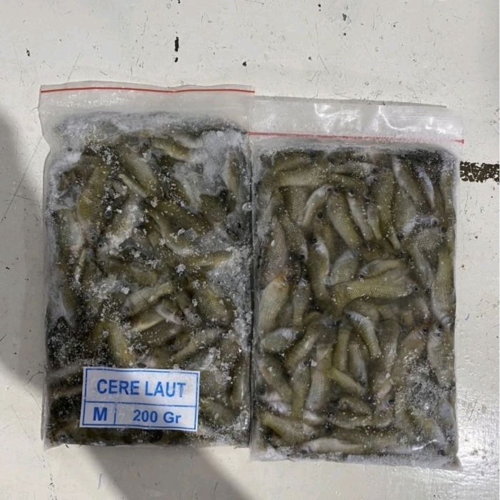 Ikan Cere Tawar & Laut / 200gr & 500gr / Pakan Beku Frozen / Untuk ikan hias predator channa pbass l