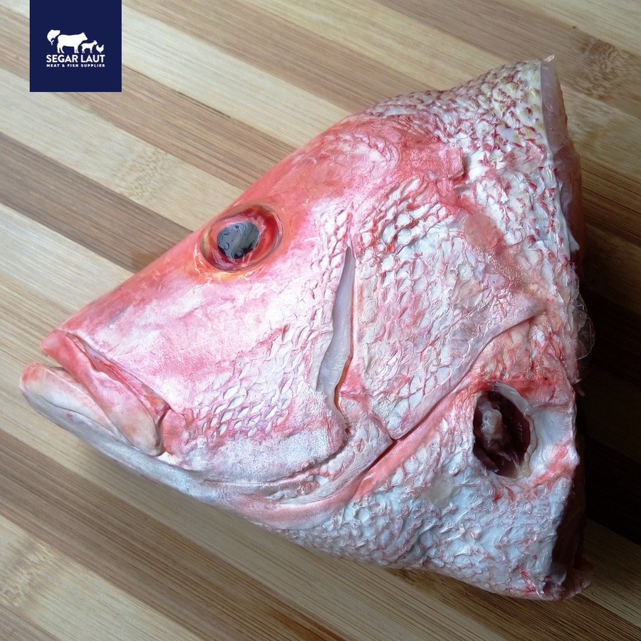 Kepala Kakap Merah 1 KG
