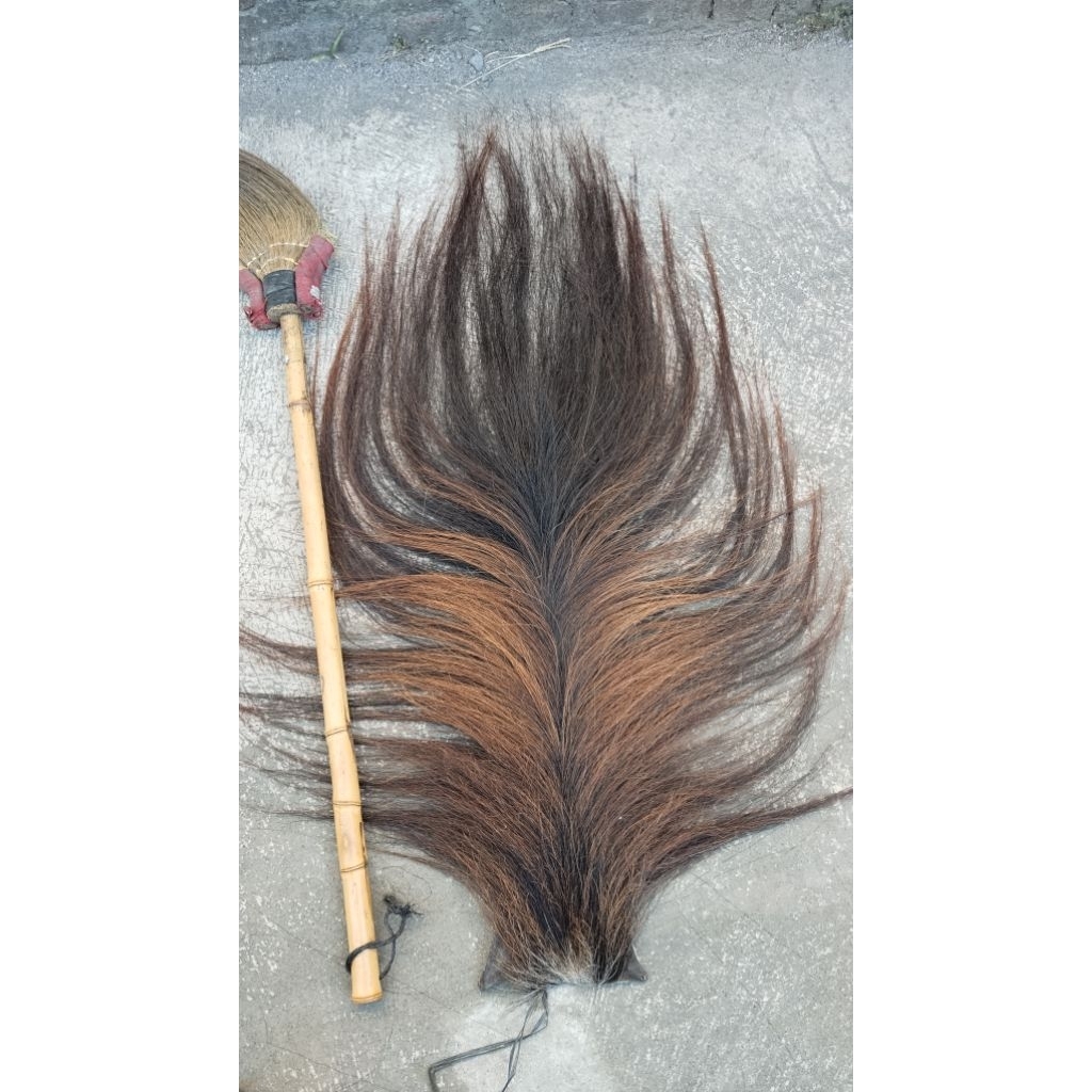 Rambut kuda, Ekor dan suri kuda