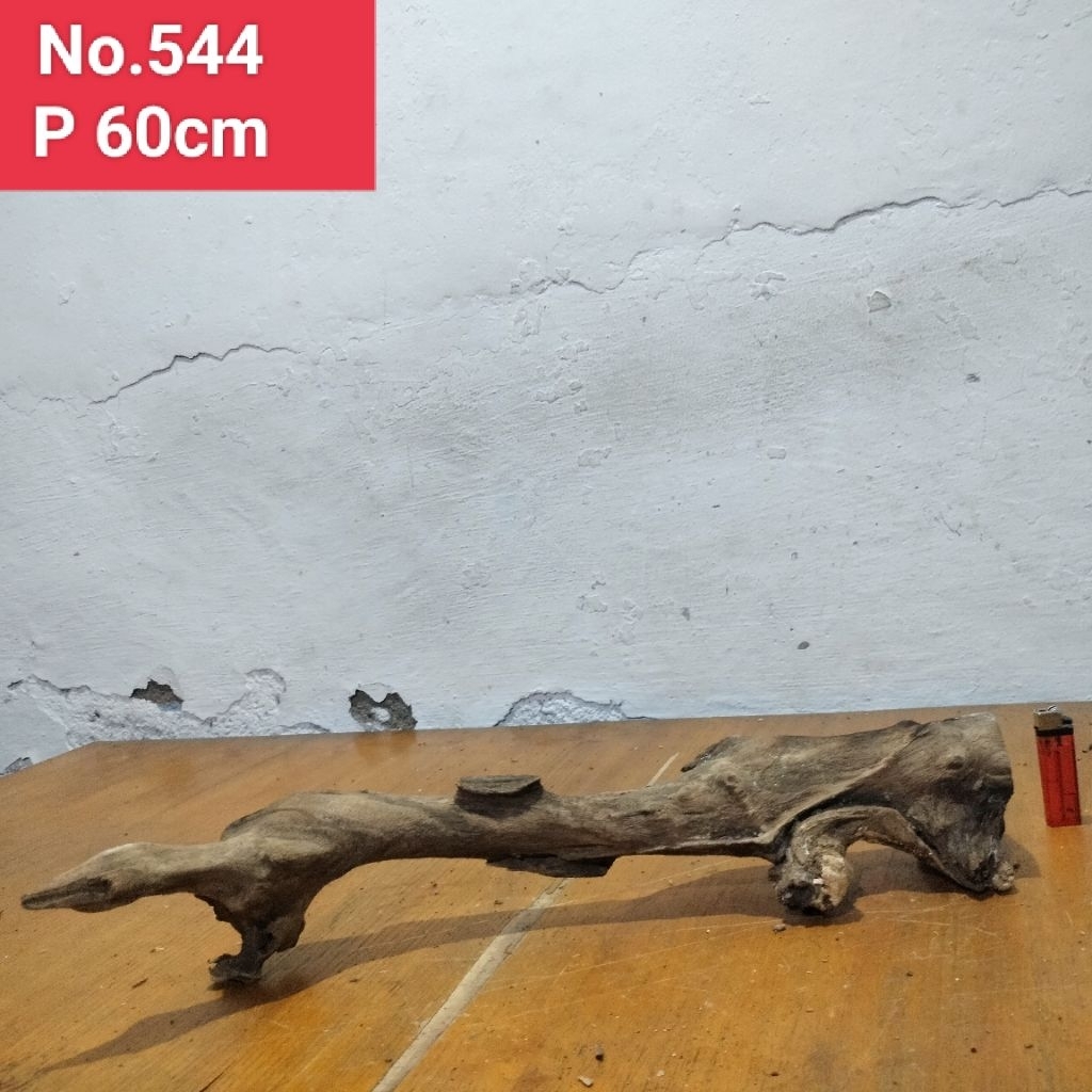 kayu santigi laut akar santigi laut dekorasi aquascape aquarium 544