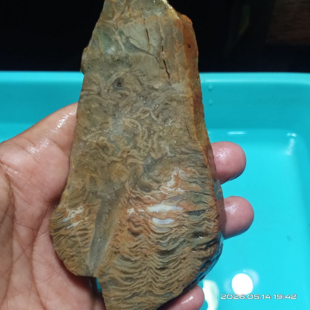 Bahan Batu Akik Kristal Fo-sil Unik Antik - Lempengan Batu Akik Gambar - Rough Batu Akik Kristal Mot