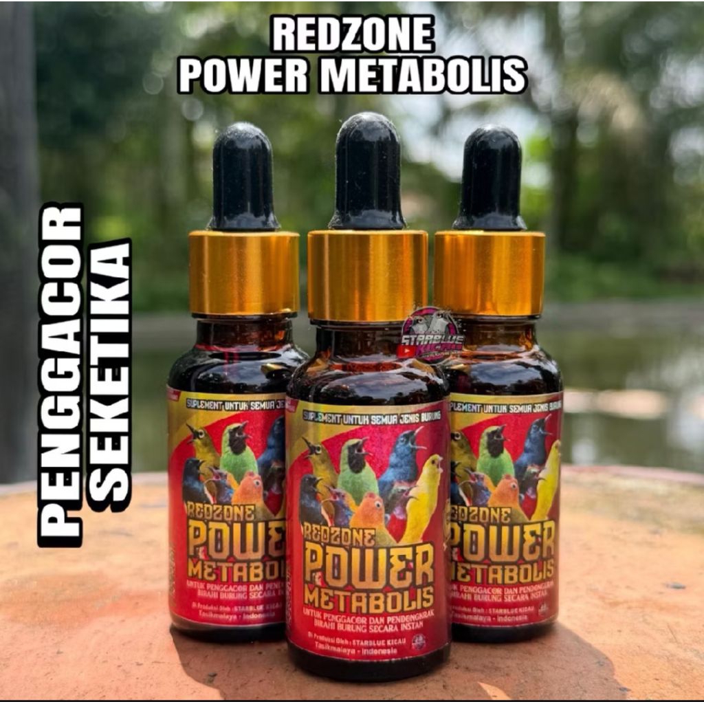 POWER METABOLIS REDZONE VITAMIN METABOLISME BURUNG KOLIBRI PLECI