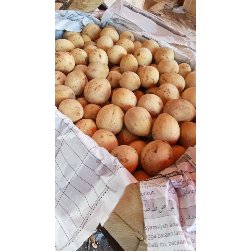 Duku Manis 1kg / Buah Duku komering/palembang