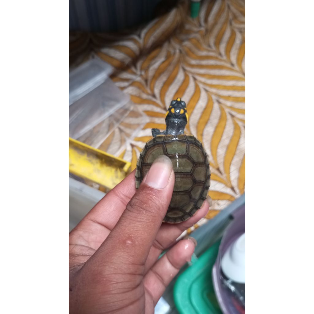 mainan kura badut unifilis 5-6 cm