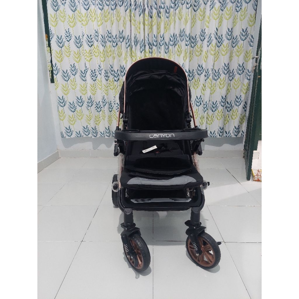Stroller Baby Pliko Canyon