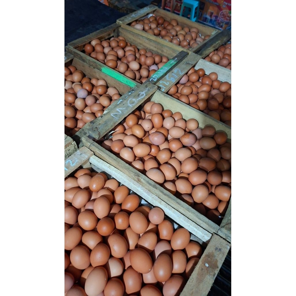 telur ayam negri 1 peti 10 kg pengiriman kusus instan