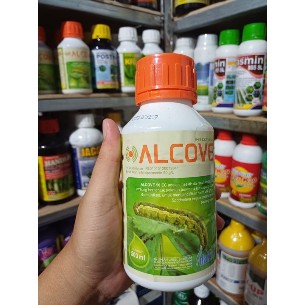 Alcove 50 EC 500ml - Insektisida Ampuh Basmi Ulat Grayak Spesial Tanaman Bawang