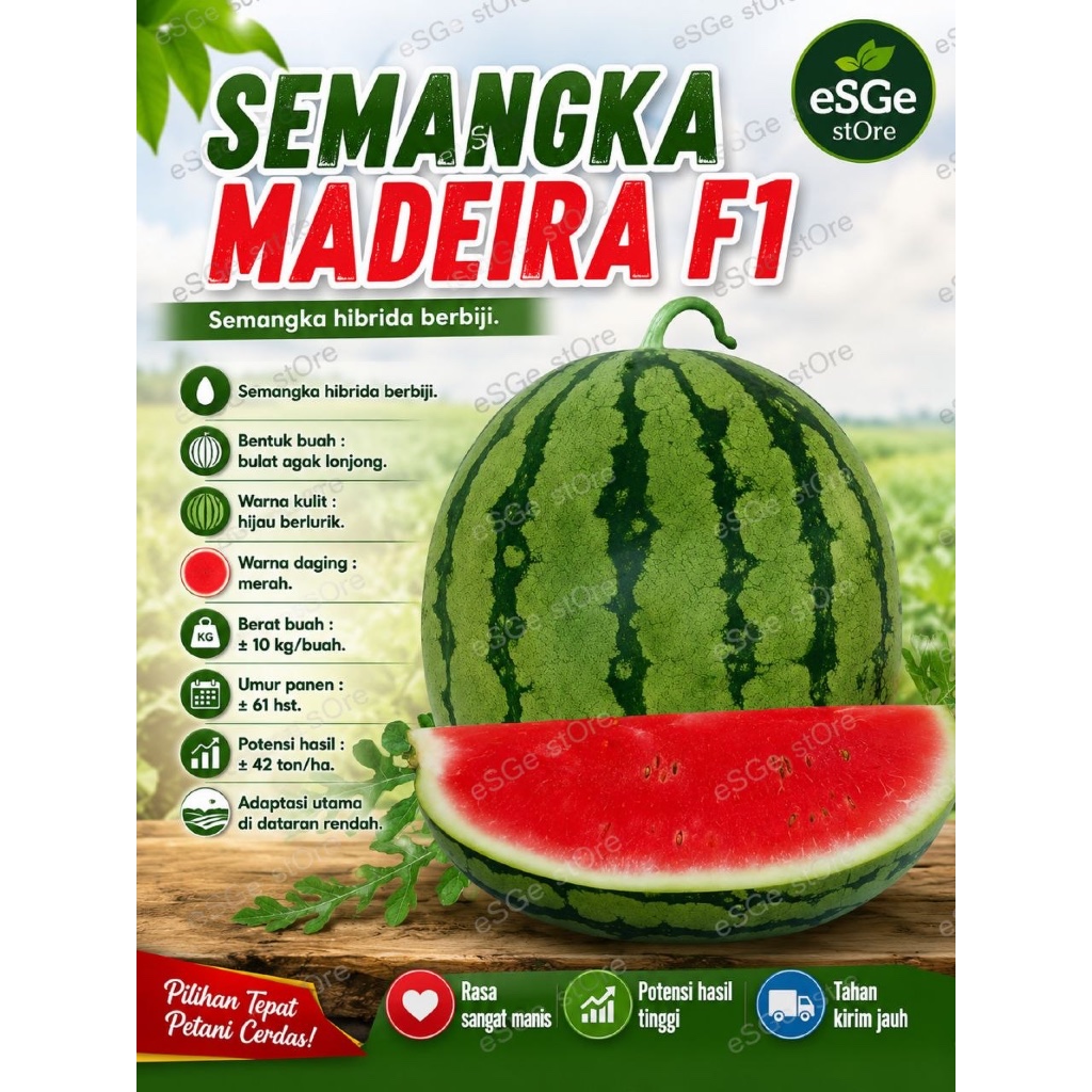 Benih Semangka Merah MADEIRA 20Gr Bintang Asia