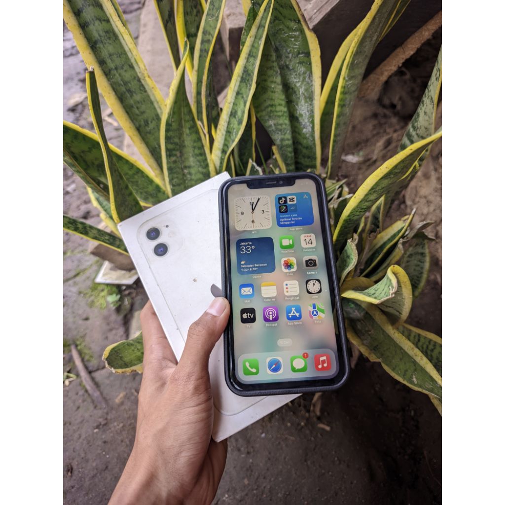 Iphone 11 64 GB Resmi Indonesia