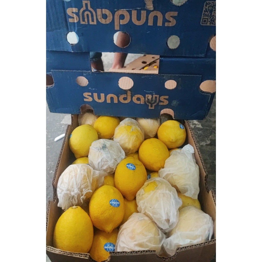 CORE Lemon Afrika Mesir China RRC IMPORT Premium Banyak Air 1 dus 14 kg