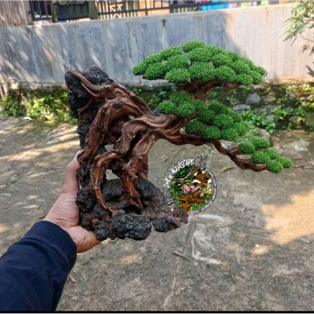 hardscape bonsai mini aquascape akuarium