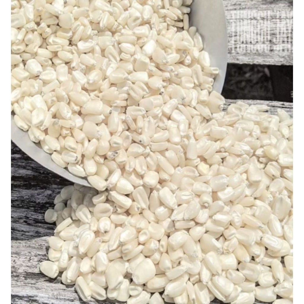 OBRAL MURAH1kg JAGUNG PUTIH KETAN PULUT kering MENTAH Bahan bubur dan nasi jagung
