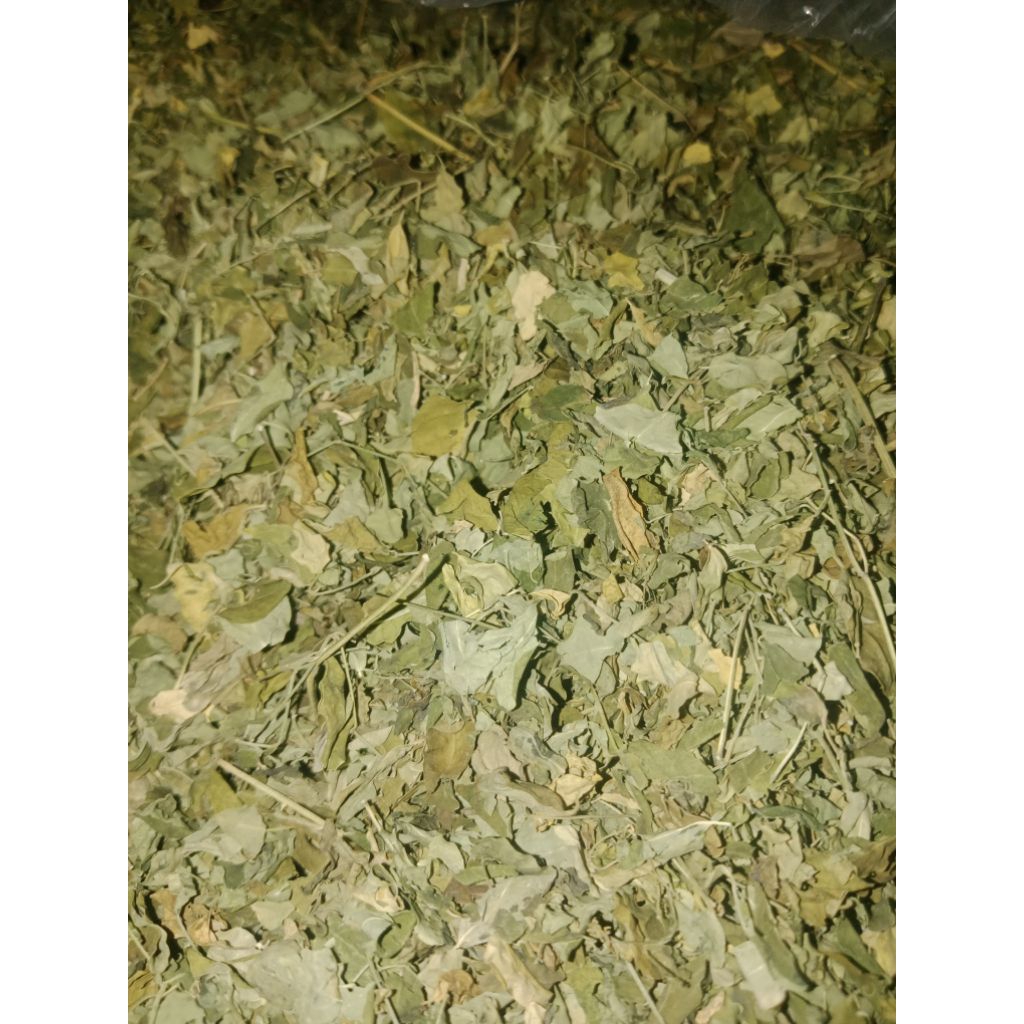Daun Kelor Kering 1kg