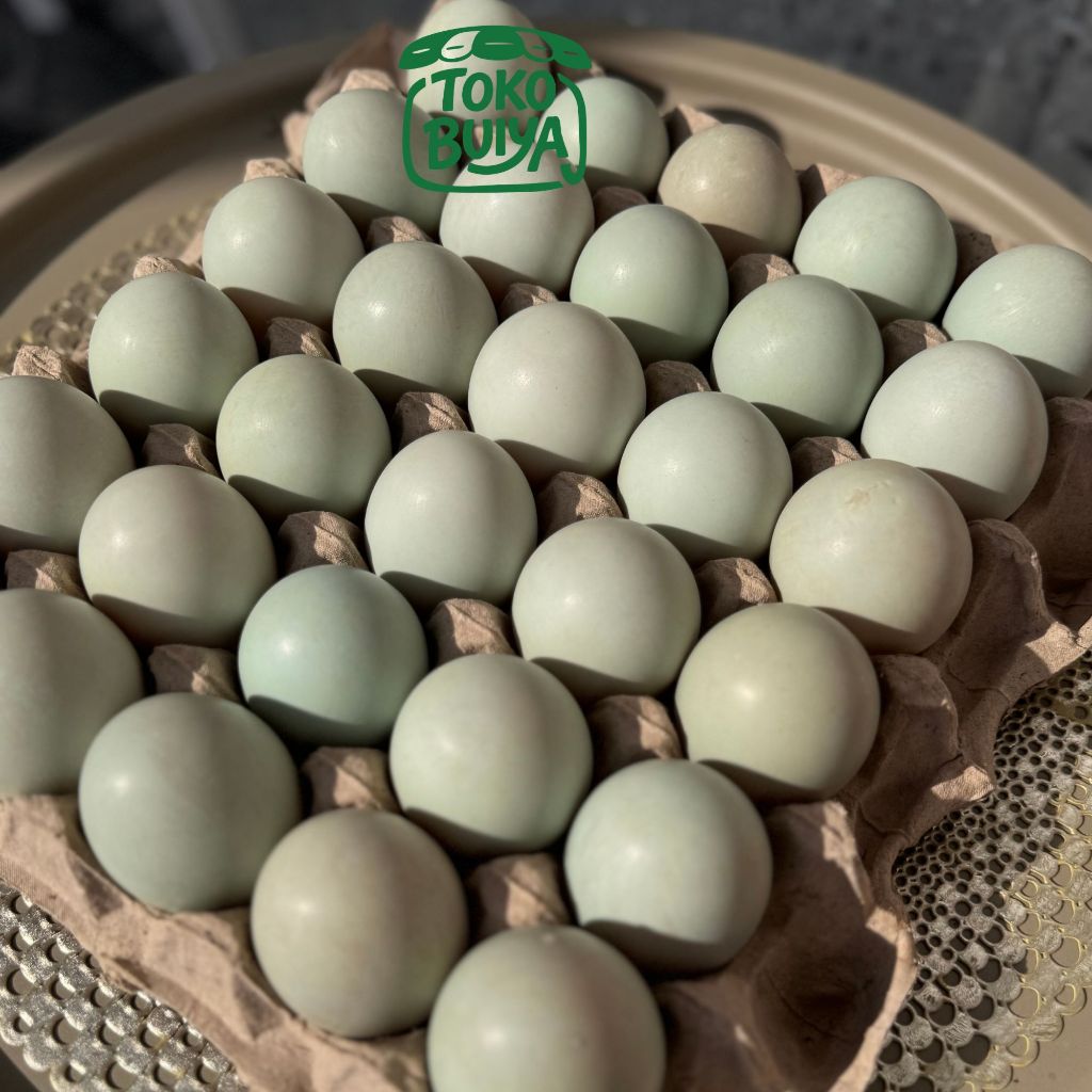 Telur Bebek Segar Mentah Lokal
