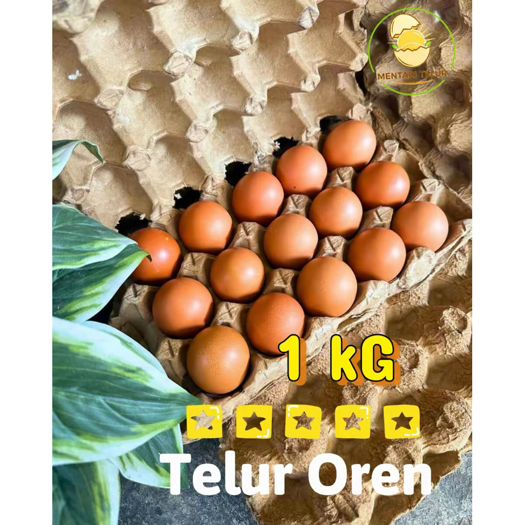 Telur Ayam Negri Oren Premium per 1 kg