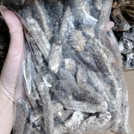 teripang duri,teripang super,haisim,haisom,teripang mahal, Xiao ci shen, Hai shen, 100gr
