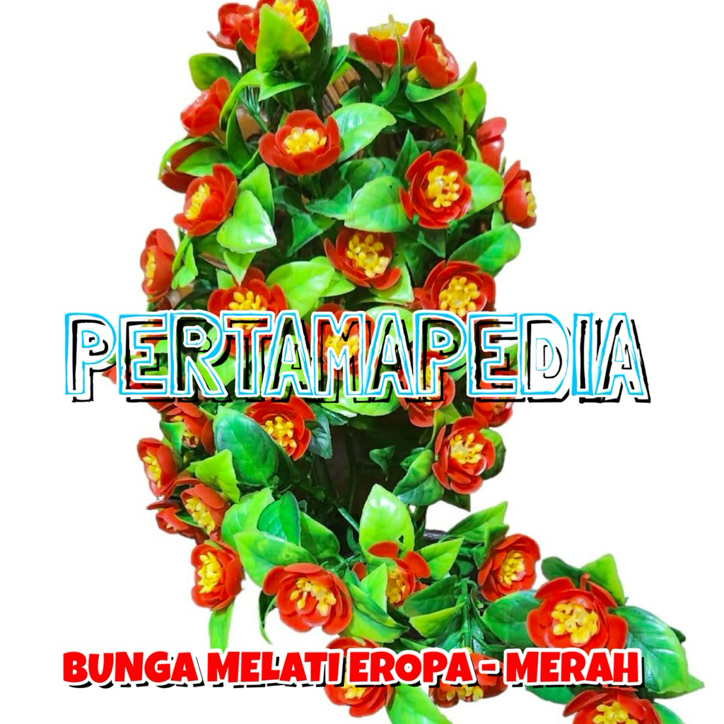 C5 JUNTAI BUNGA MELATI EROPA (TANPA BREKET)/ Juntai Bunga Plastik/ Juntai Bunga Rumput Plastik/ Junt