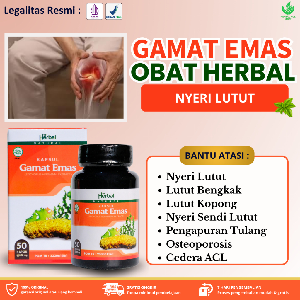 Kapsul Gamat Emas Obat Nyeri Lutut, Lutut Bengkak, Lutut Kopong, Lutut Kaku, Sulit Di Gerakan, Nyeri