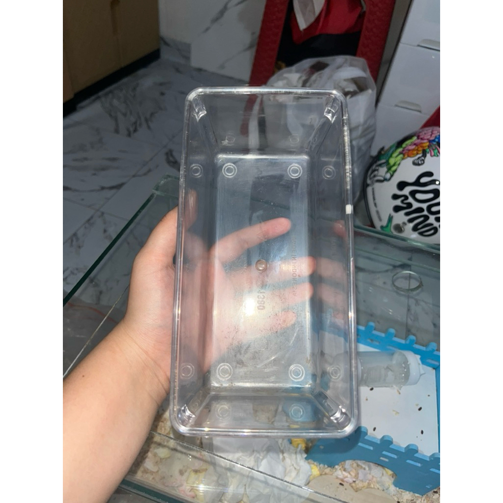 preloved kloset hamster