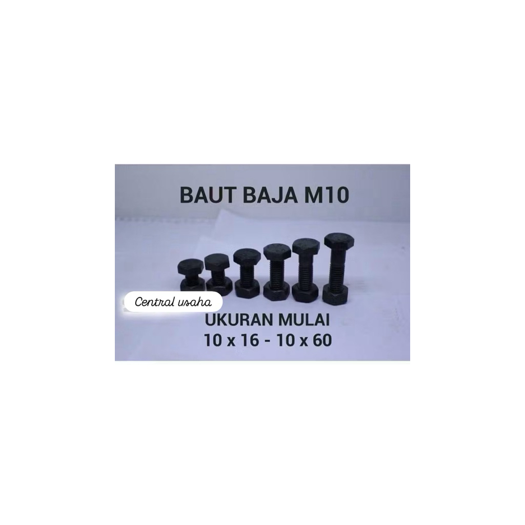 Baut Baja M 10