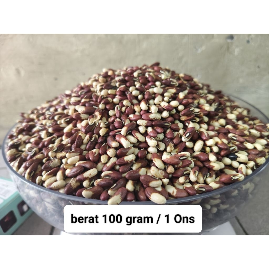 Benih kacang panjang merah putih super 100gram orian langsung dari petani