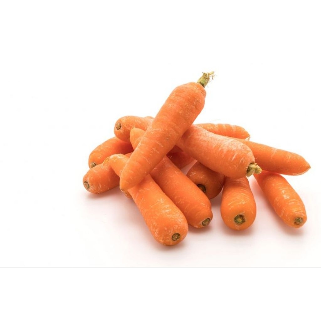 wortel segar murah / sayur wortel segar / wortel untuk sayur jus