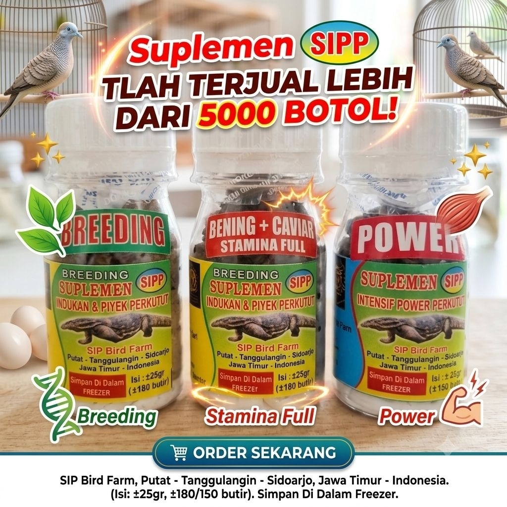 Suplemen SIPP Perkutut Breeding Power Bening